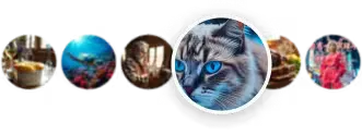 Unparalleled Image Quality