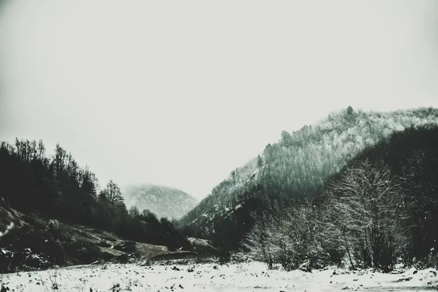 Landscape & Nature