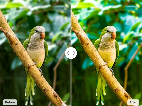 Before and after comparison showing a landscape photo transformed from dull, washed-out colors to vivid, balanced tones using ImgGen AI color correction