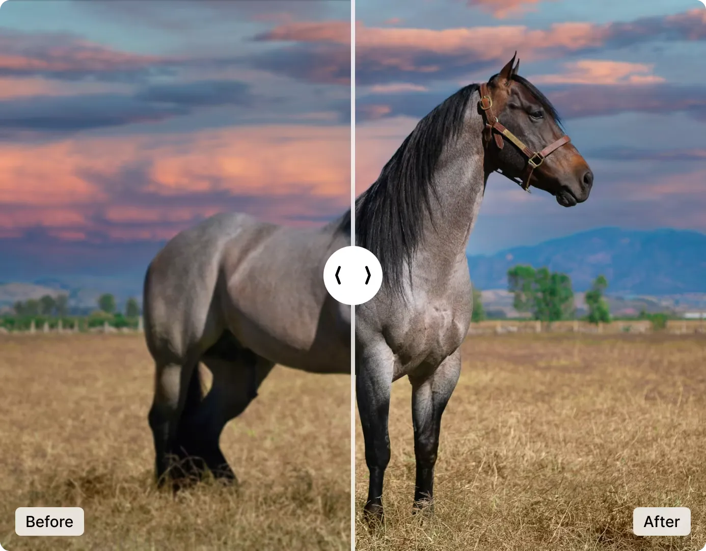 Before and after comparison of AI image sharpening — blurry portrait enhanced to crisp, detailed clarity